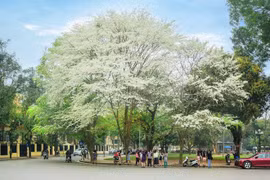 Hanoi, destino ideal para turismo en marzo