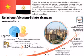 [Infografía] Relaciones Vietnam-Egipto alcanzan nueva altura