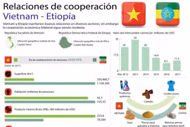 [Infografía] Relaciones de cooperación entre Vietnam y Etiopía