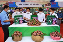 Vietnam por promover progreso agrícola en medio de COVID-19