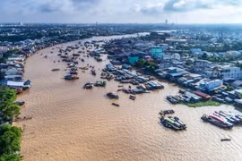 Proponen en Vietnam medidas para desarrollo sostenible de Delta del Mekong