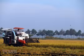 Vietnam por convertirse en suministrador global responsable de alimentos