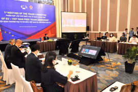 Revisan implementación de TLC entre Vietnam y la Unión Europea