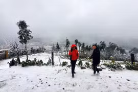 Nevada en localidades vietnamitas de Sa Pa y Fansipan