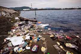 Indonesia y Japón fortalecen cooperación para abordar problemas ambientales