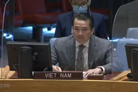 Vietnam llama a garantizar derechos humanos en República Centroafricana y Siria