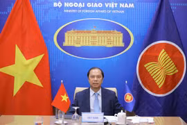 Vietnam propone apoyo de UE a acceso de ASEAN a vacunas contra COVID-19 