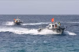 Académicos italianos alaban iniciativas de seguridad marítima de Vietnam