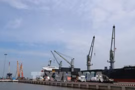 Vietnam es un puente para acceder al mercado de ASEAN, afirma embajador italiano
