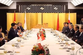 Primer ministro de Vietnam se reúne con exdirigentes de Japón
