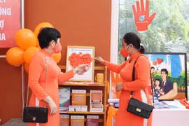 Promueven en ciudad vietnamita de Da Nang la igualdad de género