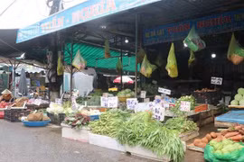 Reabrirán mercados tradicionales en Ciudad Ho Chi Minh para suministro de productos esenciales