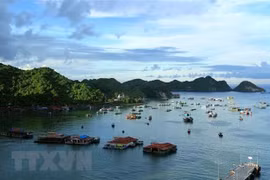 Cat Ba de Vietnam entre parques nacionales en el mundo que deben visitar