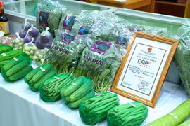 Hanoi albergará transmisión en vivo para promover los productos OCOP
