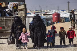 Destaca Vietnam importancia de solución política integral para Siria