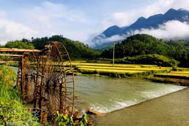 Pu Luong, lugar fantástico para los amantes de la naturaleza en Vietnam 