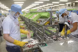 En alza exportaciones de provincia vietnamita Tien Giang entre enero y julio