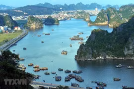 Turismo en provincia vietnamita de Quang Ninh trabaja por alcanzar meta