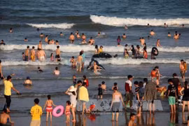 Lanzan festival de flores para promover el turismo marítimo en Thanh Hoa