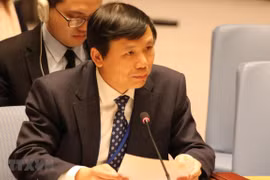 Vietnam condena la violencia en Somalia