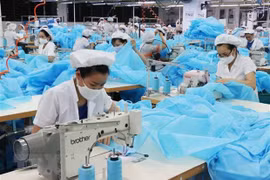 Cese de beneficios arancelarios no afectará exportaciones vietnamitas a Unión Económica Euroasiática
