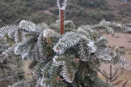 Cubre hielo blanco la meseta rocosa de Dong Van en Vietnam