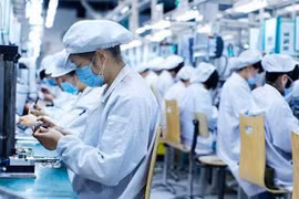 Hanoi busca resolver dificultades de las empresas de IED