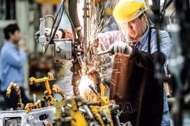 Vietnam, un destino atractivo para los inversionistas, según web británica