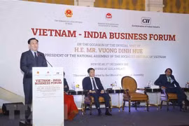 Destacan enormes potencialidades de cooperación económica entre Vietnam y la India 