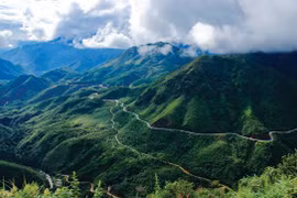 USAID apoya a provincia vietnamita en conservación de biodiversidad forestal