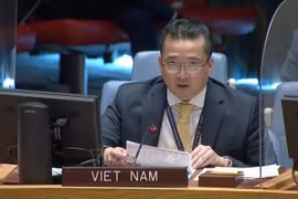 Vietnam preocupado por situación en región de los Grandes Lagos en África