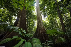 Australia dedicará fondo millonario para luchar contra cambio climático en Sudeste Asiático