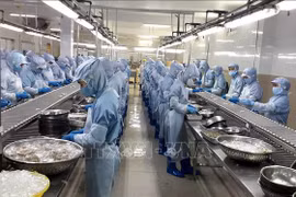 Crece valor de exportaciones de productos agrosilvícolas y acuáticos de Vietnam