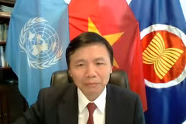  Vietnam preside diálogo sobre proceso electoral y seguridad de Somalia
