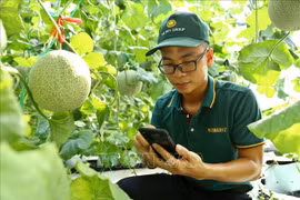Vietnam busca aumentar productividad laboral en más de 7,5 por ciento para 2030