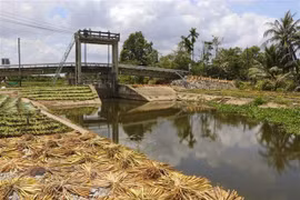 Vietnam participa activamente en respuesta global al cambio climático