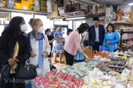 Cultura vietnamita impresiona al público checo
