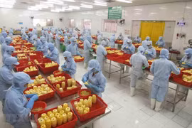 Exhortan a empresas vietnamitas a aprovechar oportunidades de exportación a Reino Unido