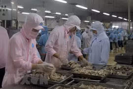 Vietnam aboga por relaciones comerciales equitativas y sostenibles con Estados Unidos