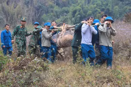 Desactivan con éxito una bomba de 600 kilogramos remanente de la guerra en Vietnam
