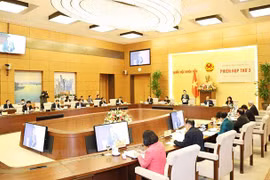 Vietnam anuncia 184 circunscripciones electorales