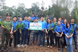 Publican Informe especial sobre actividades de jóvenes vietnamitas por el cambio climático