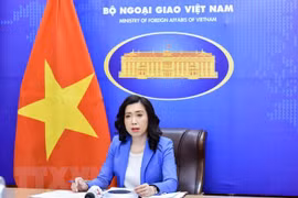 Vietnam prioriza impulso de la igualdad de género, afirma portavoz de Cancillería