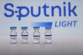Vietnam recibirá vacuna Sputnik Light donada por el gobierno ruso
