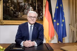 Alemania continúa intensificando la cooperación con Vietnam, afirma su presidente
