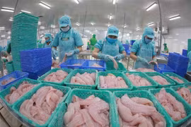 Vietnam ingresaría más de mil 500 millones de dólares por las ventas de pescado Tra