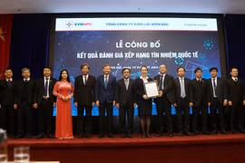 Grupo eléctrico vietnamita recibe alta clasificación de Fitch Ratings