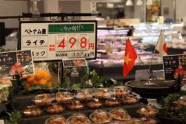 Presentan a Japón productos agrícolas destacados de Vietnam 