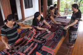 Vietnam aumentará cooperación internacional a favor del desarrollo de las etnias minoritarias