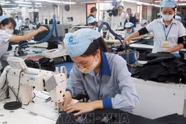 Vietnam elabora documentos para implementar acuerdo comercial con Reino Unido